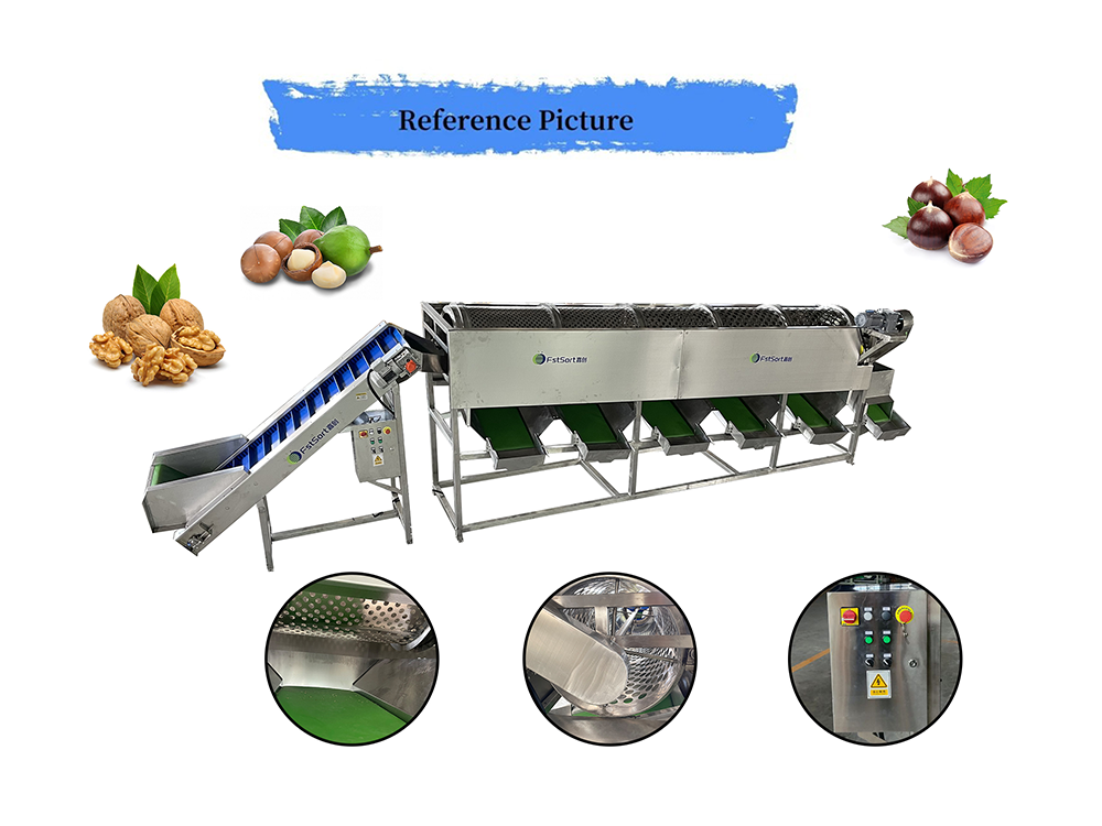 walnut drum sorting walnut drum sorting
