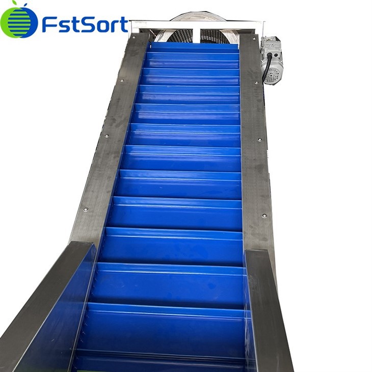 chestnut sorting equipment