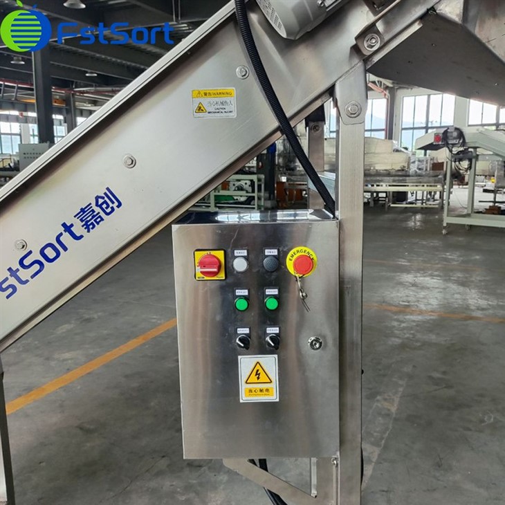 chestnut sizing equipment